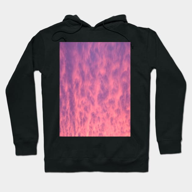 Pink Winter Sky Hoodie by EZPAINT